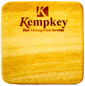 Corporate Logo Branding